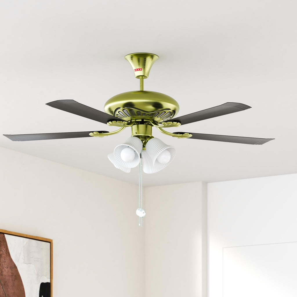 Usha Fontana Maple 1250mm ISI Ceiling Fan with Decorative Lights,BEE Star Rated,100% Copper Motor,RF Remote,High Air Speed & Delivery,2 Year Warranty,(Antique Brass Black) Pack of 1,Free Installation